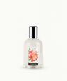 Pivoine